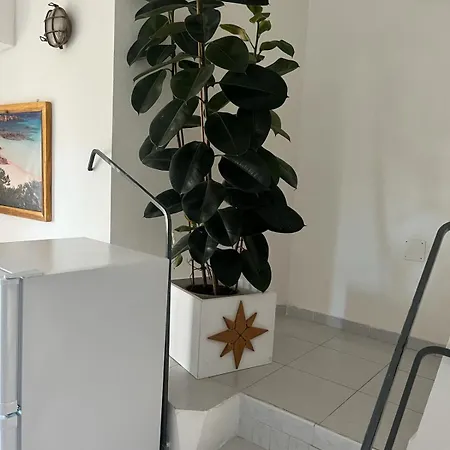 Carlotta