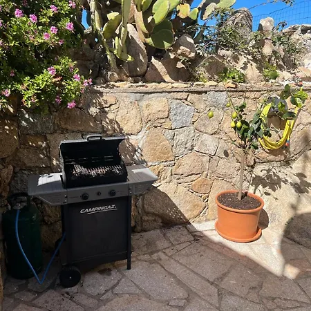 Carlotta La Maddalena (Sassari)